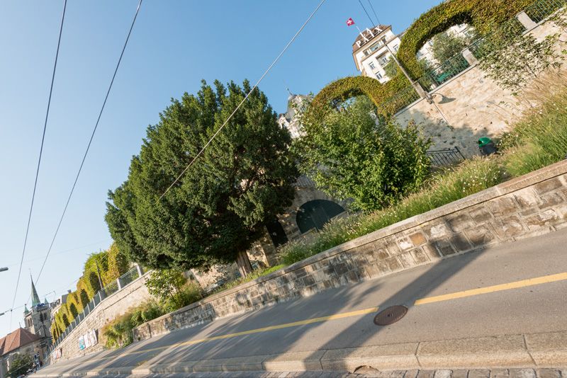 © Marino Trotta – Ville de Lausanne